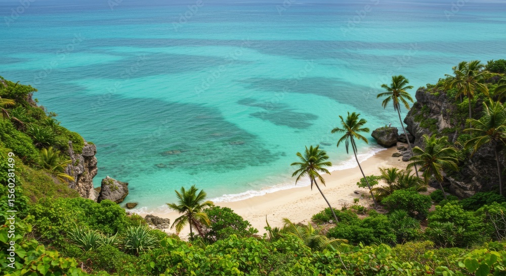 Secluded Tropical Beach with Turquoise Water and Palm Trees Secluded Tropical Beach with Turquoise Water and Palm Trees