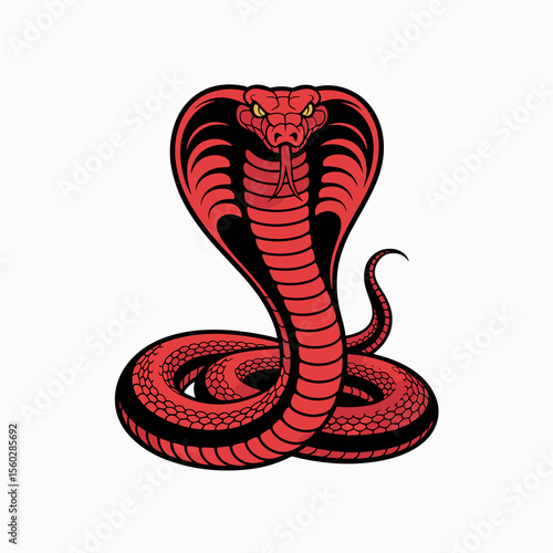 Red cobra snake drawing illustration with hood, venom, predator, danger, wildlife, poison