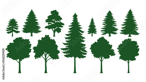 A row of evergreen tree silhouettes in various sizes