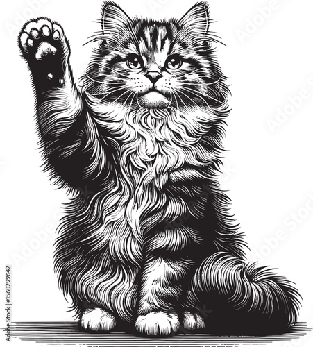 Fierce Fluffy Cat Vector