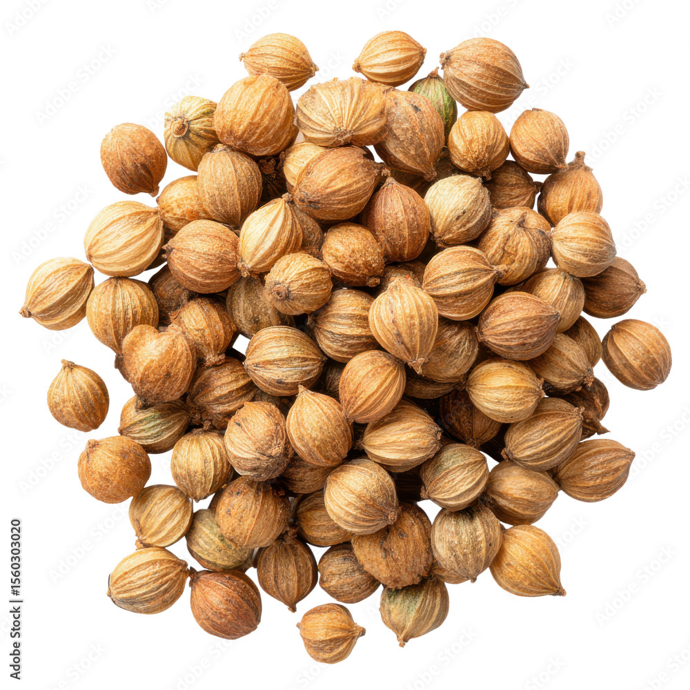 coriander seeds isolated png, dried round spice coriander seeds isolated png, dried round spice