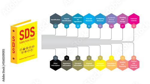 Chart of a 16 sections of the safety data sheet document. SDS in vector illustration for construction, industrial.