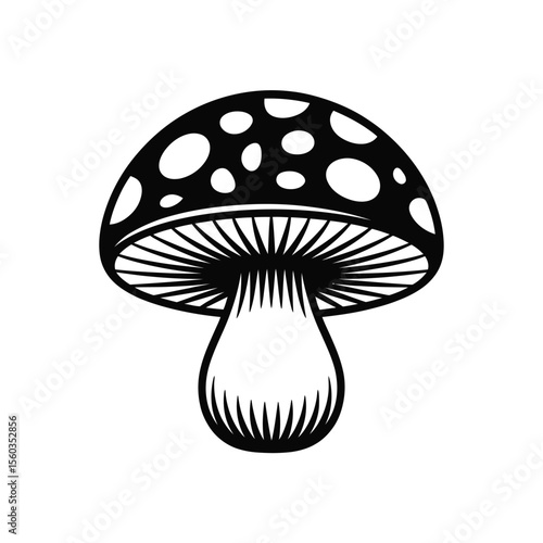 Amanita Muscaria Mushroom Illustration with Spots in Black and White