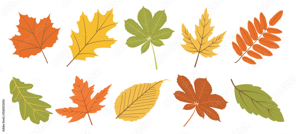 Autumn leaf vector set: flat style collection of yellow, orange and green fall leaves for designs. Hand drawn illustration for banners, cards, social media Autumn leaf vector set: flat style collection of yellow, orange and green fall leaves for designs. Hand drawn illustration for banners, cards, social media