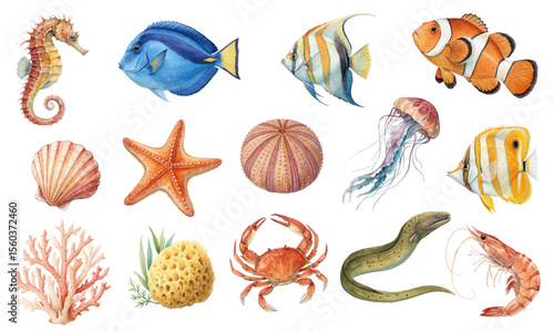 Watercolor Vector Set of Tropical Fish, Sea Creatures and Coral Elements for Ocean Clipart and Marine Design