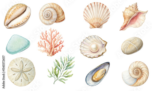 Watercolor Vector Set of Seashells, Corals, and Beach Stones for Marine Designs and Summer Projects