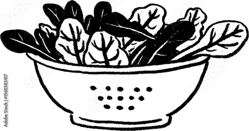 Hand drawn sketch of colander with leafy greens for culinary design