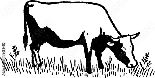 Black bold sketch of a cow grazing in field design for farm art