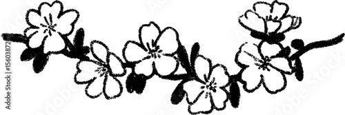 Hand drawn floral vine border with small five petal flowers for decorative design
