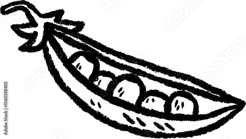 Hand-drawn green pea pod sketch with open peas for natural design themes