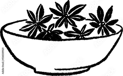 Hand drawn sketch of star anise pods in a bowl for culinary design