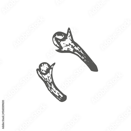 Clove spice graphic illustration. Anis little sticks with seeds. Vector. Ingredient for mulled wine and bakes. For cookbook, recipe book, menu cafe, packaging food product.