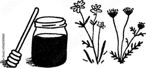 Rustic honey jar with dipper and wildflower sketch - nature-inspired design