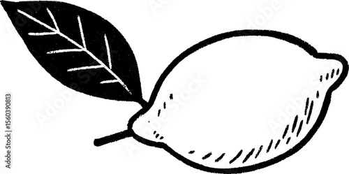 Hand drawn lemon sketch with leaf for design and decoration