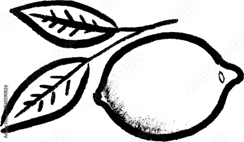 Hand-drawn sketch of a lemon with a single leaf featuring subtle texture