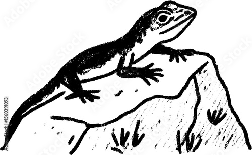 Black and bold sketch of lizard basking on rock with textured detail