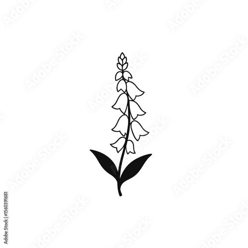 Fototapeta Black and white outline illustration of a foxglove flower with leaves
