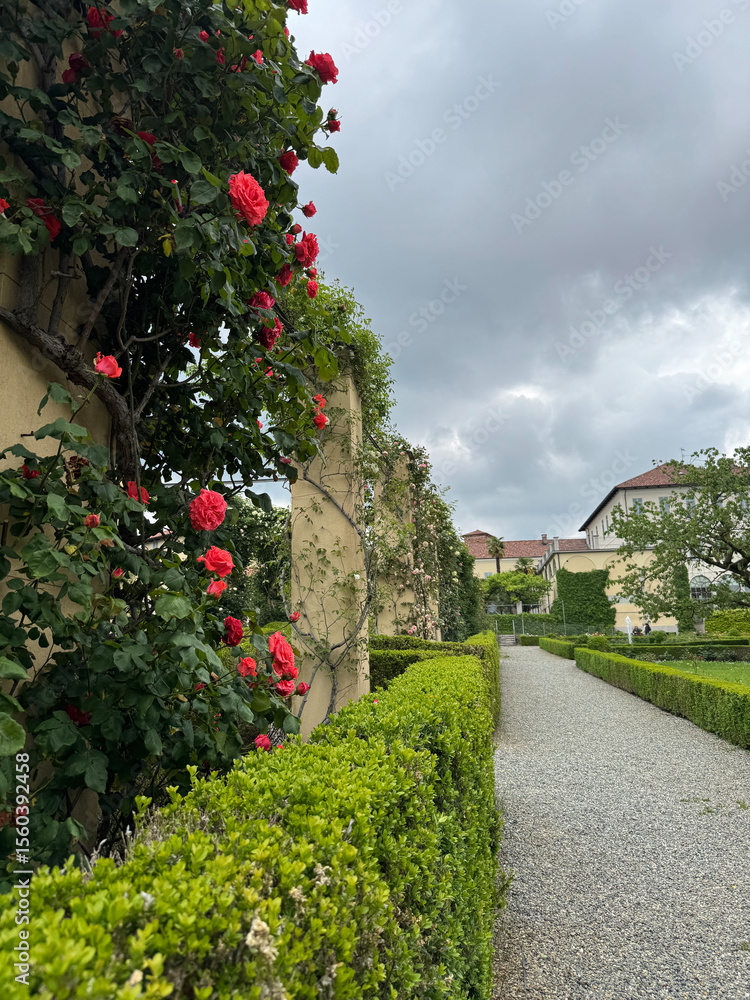 Obraz premium Palazzo Gromo Losa