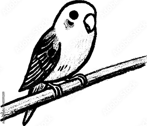 Tranquil parrot sketch on perch for art and design inspiration