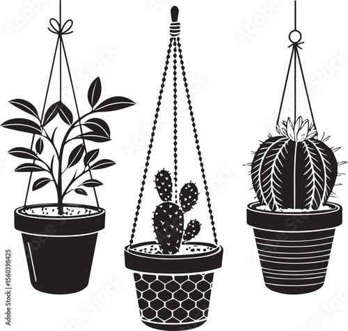 Hanging plants illustration featuring different botanical varieties in decorative pots for design