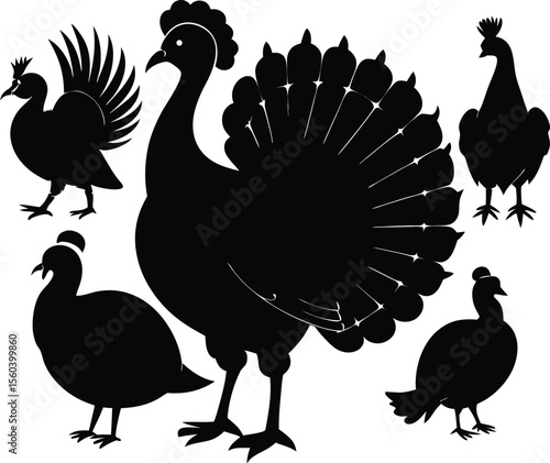 This collection of black and white image showcase illustration and symbol related to Turkey