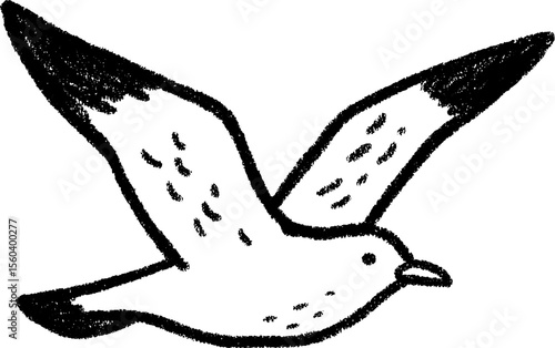 Graceful seagull in flight sketch with wide open wings for nature designs