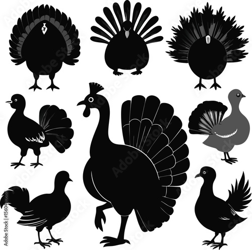 This collection of black and white image showcase illustration and symbol related to Turkey