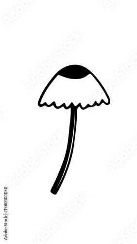 hongo