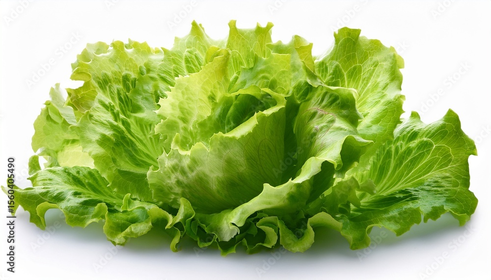 green lettuce salad isolated on white background green lettuce salad isolated on white background