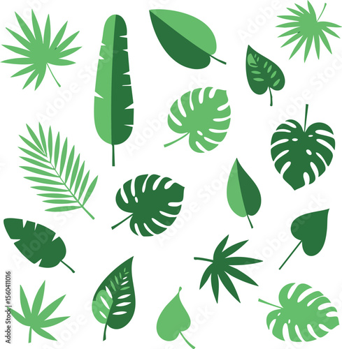 Tropical leaves vector collection with various palm and monstera leaf designs in green shades for nature and botanical themes