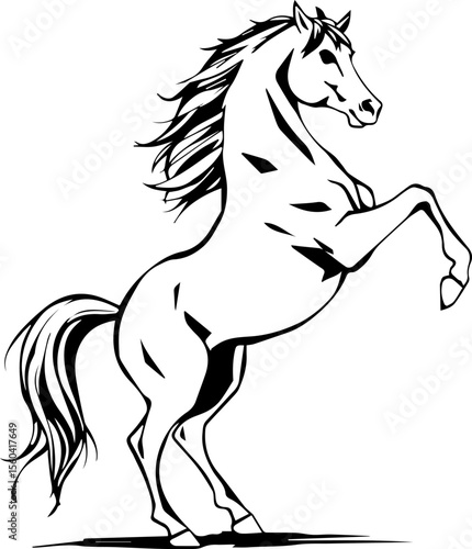 Action Horse Jump

