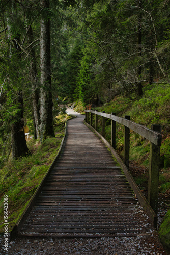 Germany, Baden-Württemberg, Northern Black Forest, wooden walkway in Mummelse, located on the highest glacial lake in the Black Forest, Germany. 