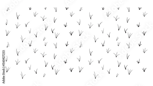 Minimal Grass Blade Ink Sketch Pattern
