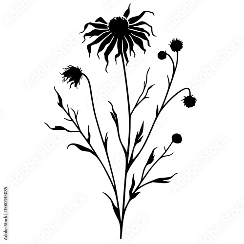 Silhouette of wilted flowers