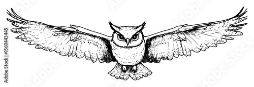 flying owl with wings spread wide