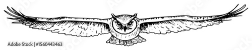 flying owl with spread wings hand drawn sketch vector
