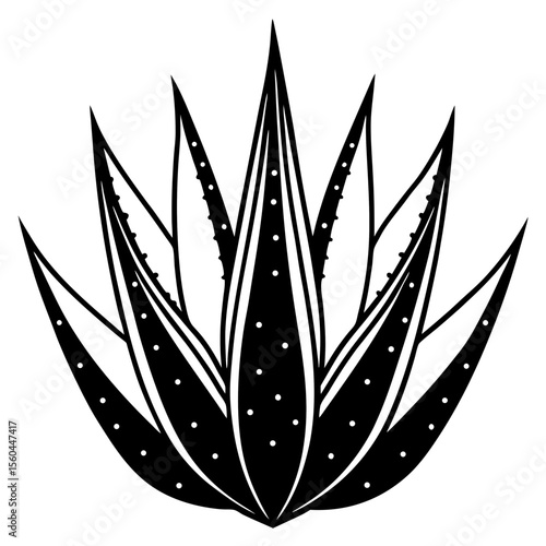 vector illustration of a crown