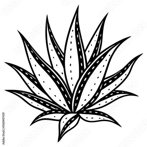 cannabis leaf vector