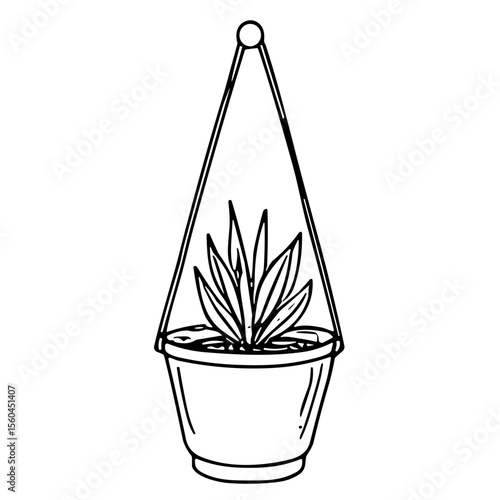 Hanging potted plant doodle sketch vector illustration on transparent background, indoor greenery