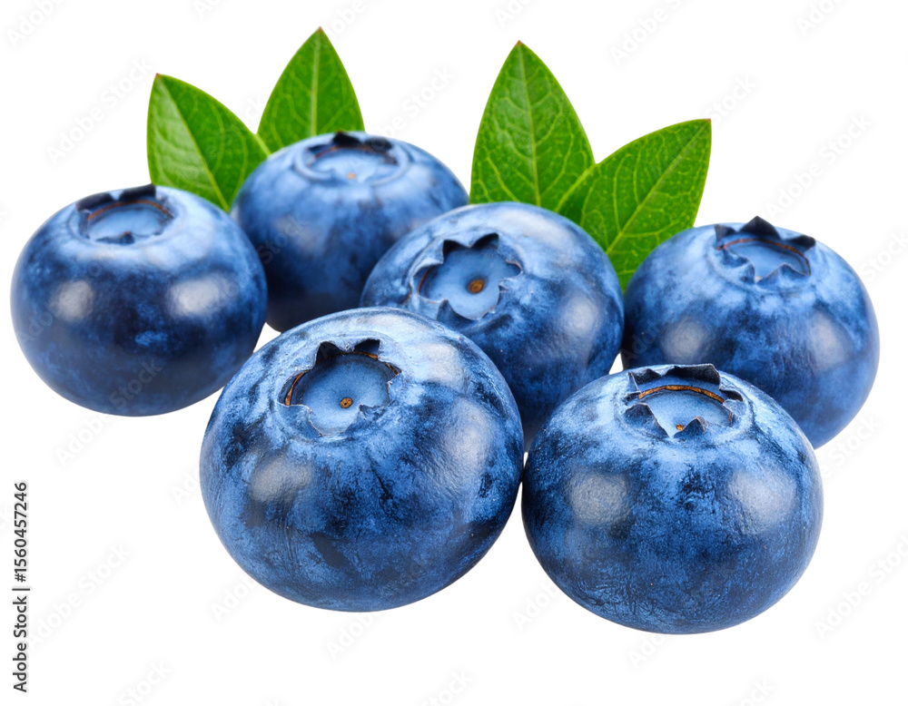 Fototapeta premium Blueberry berry isolated