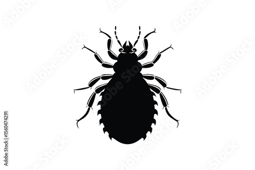 Detailed Silhouette Illustration of a Louse Insect on a White Background