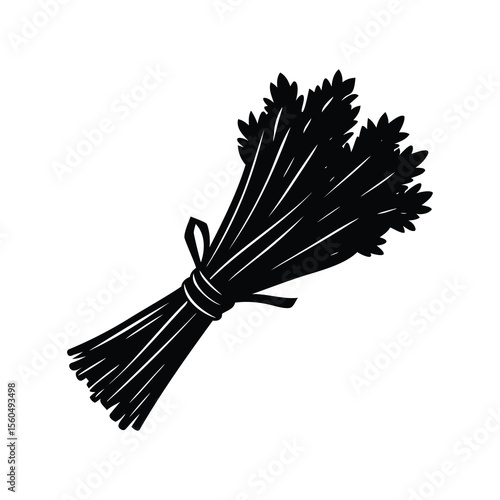Artistic silhouette of a bundled celery bunch tied with a ribbon
