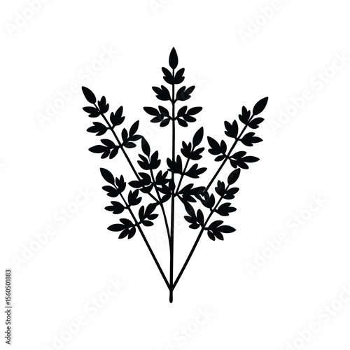 Black and white silhouette illustration of a leafy plant with three stems