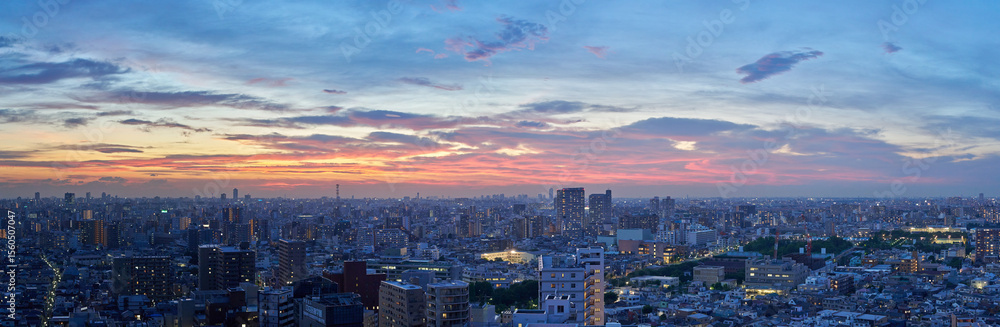 Fototapeta premium Tokyo Skyline at Sunset – Panoramic View with Colorful Evening Clouds