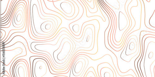 Topographic canyon geometric map relief texture with curved layers and shadow. abstract White background with a beautiful pattern, Topographic contour lines vector map seamless pattern vector.