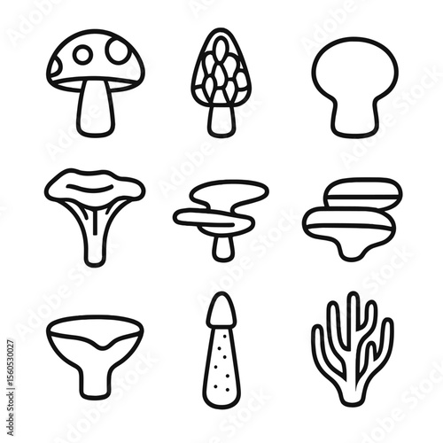 Forest Fungi Icons. Outline icon set of forest floor mushrooms and fungi: toadstool, morel, puffball, chanterelle, bracket fungus,