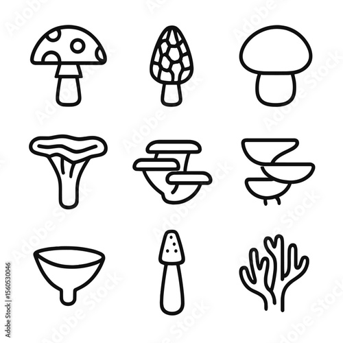 Forest Fungi Icons. Outline icon set of forest floor mushrooms and fungi: toadstool, morel, puffball, chanterelle, bracket fungus,