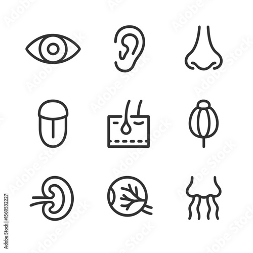 Human Sensory Icons. Outline icon set of human sensory organs: eye, ear, nose, tongue, skin receptor, taste bud, cochlea, optic