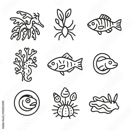 Kelp Mimicry Icons. Outline icon set of kelp forest mimicry: leafy seadragon fronds, kelp crab branch pose, juvenile rockfish