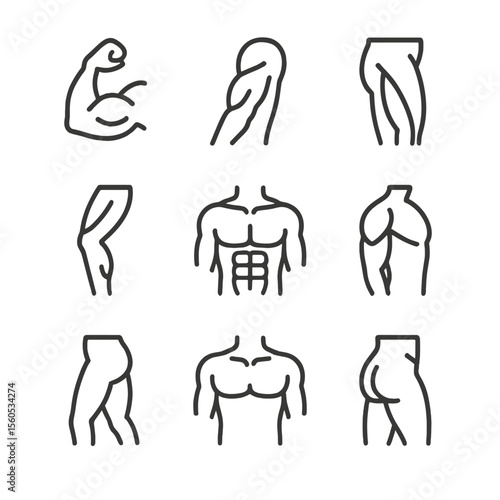Muscle Icon Grid. Outline icon set of human muscular system: biceps muscle, triceps, quadriceps, calf muscle, abdominal core,